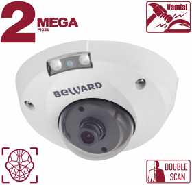 B2530DMR , Купольная 2Мп IP-камера с ИК до 10 метров